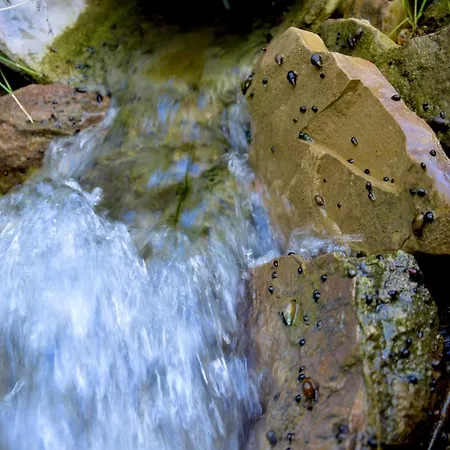 Ecoalbergue Rural De