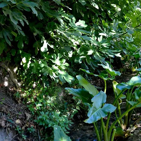 Ecoalbergue Rural De